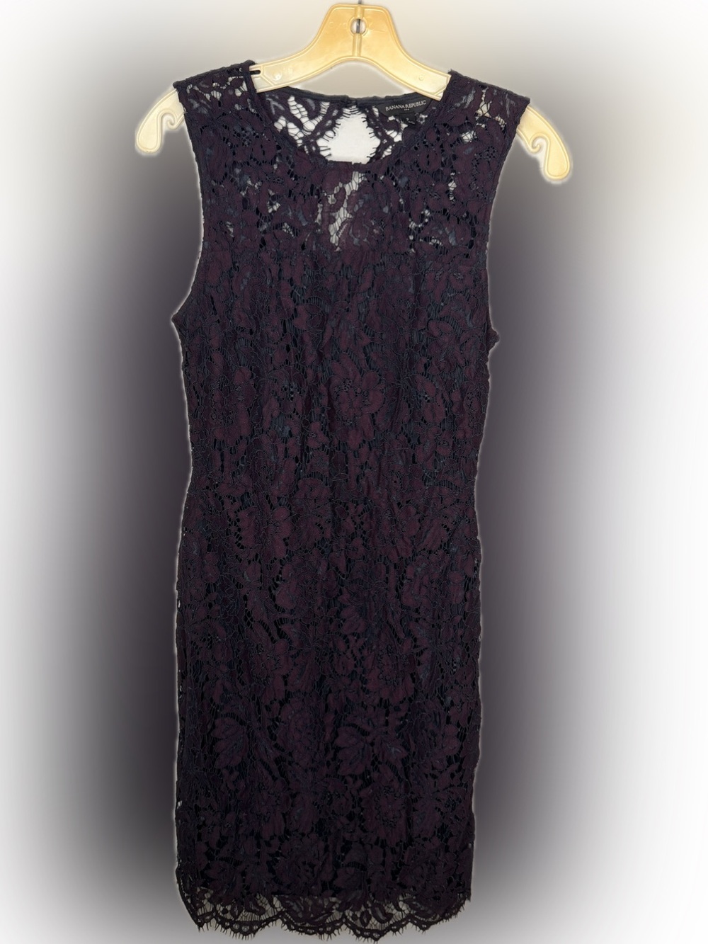 Banana Republic Lace Dress